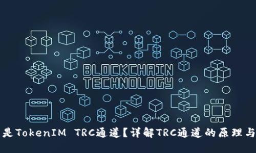什么是TokenIM TRC通道？详解TRC通道的原理与应用