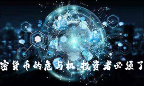 : 数字加密货币的危与机：投资者必须了解的真相