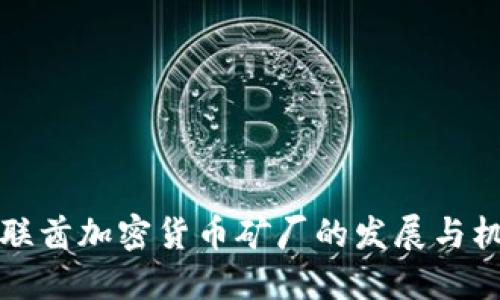 阿联酋加密货币矿厂的发展与机遇