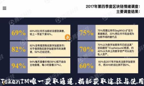 
官方TokenIM唯一获取通道，揭秘获取途径与使用技巧