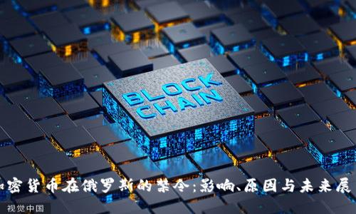 加密货币在俄罗斯的禁令：影响、原因与未来展望