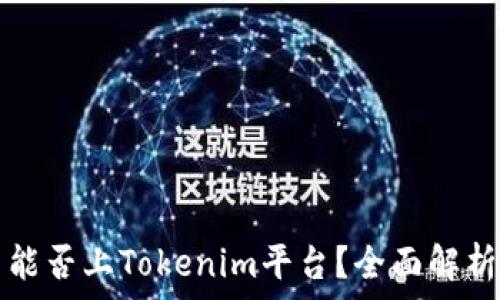   
山寨币能否上Tokenim平台？全面解析与指南