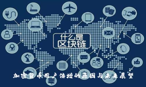 加密货币用户倍增的原因与未来展望