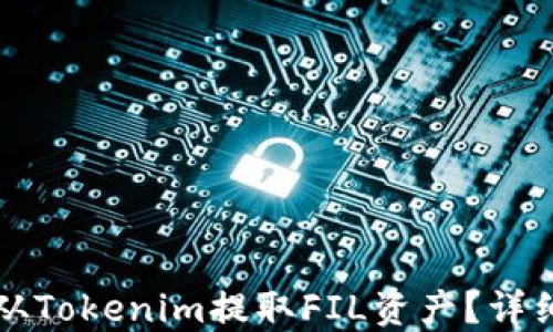 
如何从Tokenim提取FIL资产？详细指南