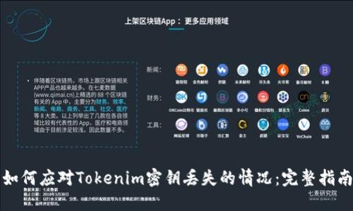 如何应对Tokenim密钥丢失的情况：完整指南