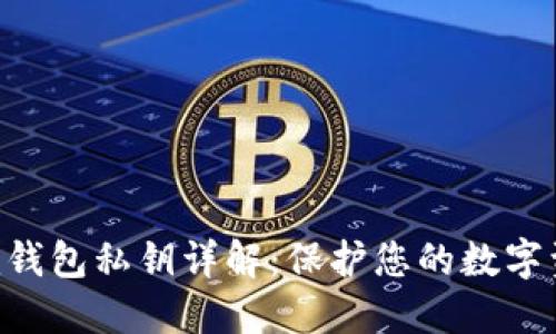 Tokenim钱包私钥详解：保护您的数字资产安全