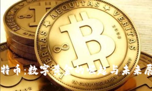 比特币：数字黄金的崛起与未来展望