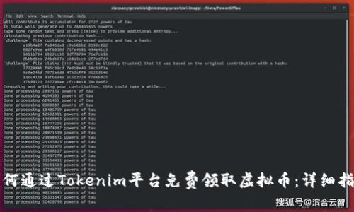 如何通过Tokenim平台免费领取虚拟币：详细指南