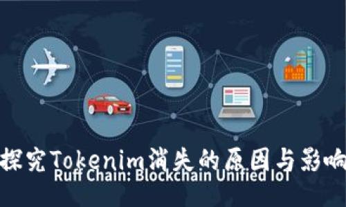 探究Tokenim消失的原因与影响