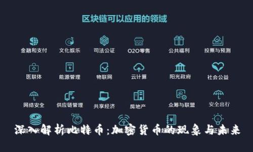 深入解析比特币：加密货币的现象与未来