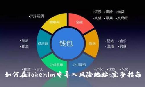 如何在Tokenim中导入风险地址：完整指南