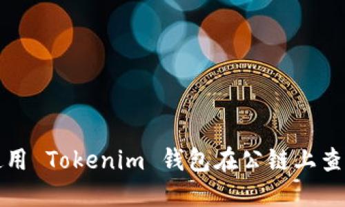 如何使用 Tokenim 钱包在公链上查看余额