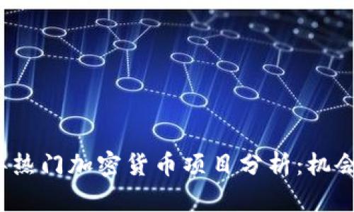 2022年热门加密货币项目分析：机会与挑战