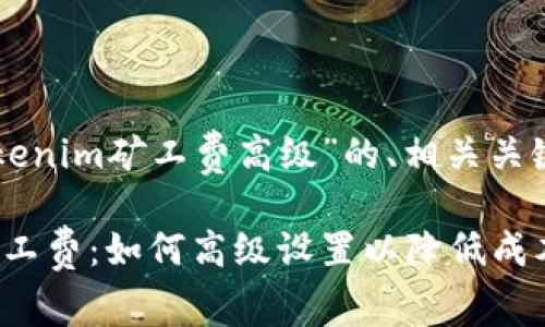 下面是一个关于“Tokenim矿工费高级”的、相关关键词和内容主体大纲：

深度解析Tokenim矿工费：如何高级设置以降低成本