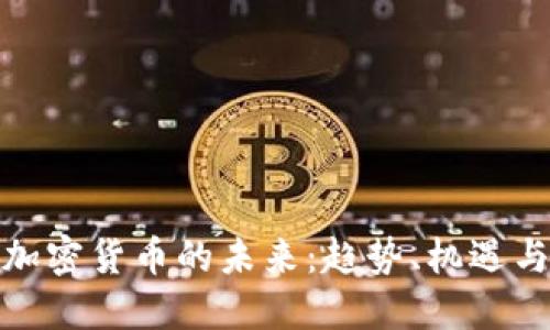数字加密货币的未来：趋势、机遇与挑战