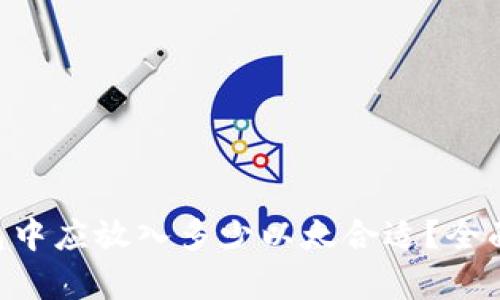 Tokenim钱包中应放入多少以太合适？全面分析与建议