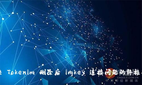 解决 Tokenim 删除后 imkey 连接问题的终极指南