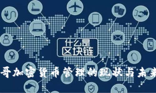 墨西哥加密货币管理的现状与未来展望