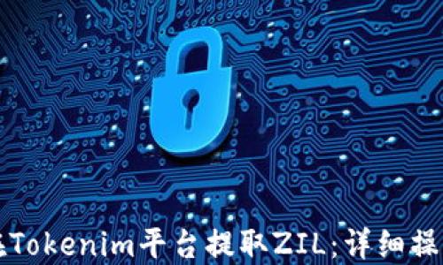 
如何在Tokenim平台提取ZIL：详细操作指南