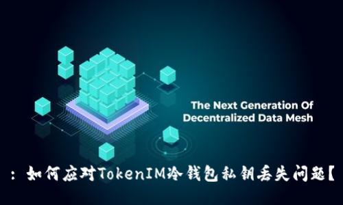 : 如何应对TokenIM冷钱包私钥丢失问题？