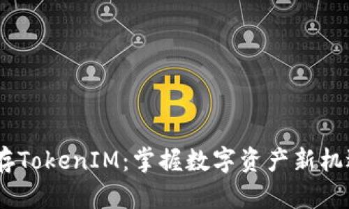蚂蚁B3挖矿存TokenIM：掌握数字资产新机遇的全面指南