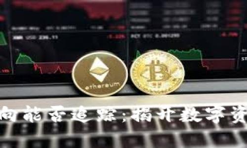 加密货币资金流向能否追踪：揭开数字资产透明性的面纱