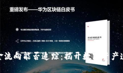 加密货币资金流向能否追踪：揭开数字资产透明性的面纱