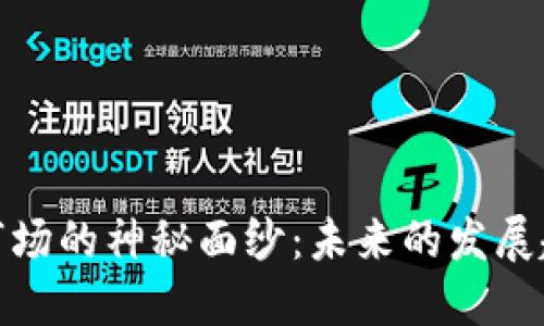 揭开货币加密市场的神秘面纱：未来的发展趋势与投资机会