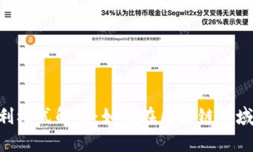 Tokenim的盈利模式解析：如何在区块链领域寻求商业价值
