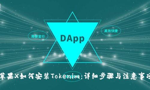 苹果X如何安装Tokenim：详细步骤与注意事项