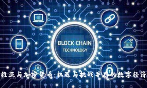 塞尔维亚与加密货币：机遇与挑战并存的数字经济时代