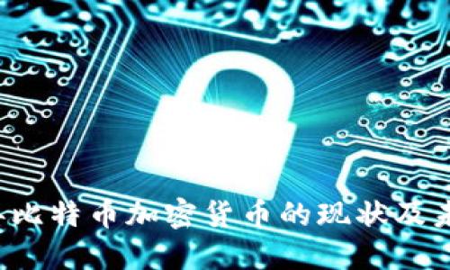 2023年比特币加密货币的现状及未来展望