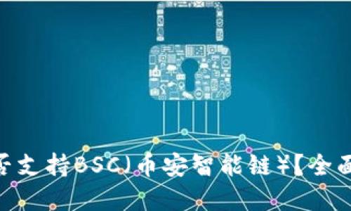 Tokenim钱包是否支持BSC（币安智能链）？全面解读与使用指南