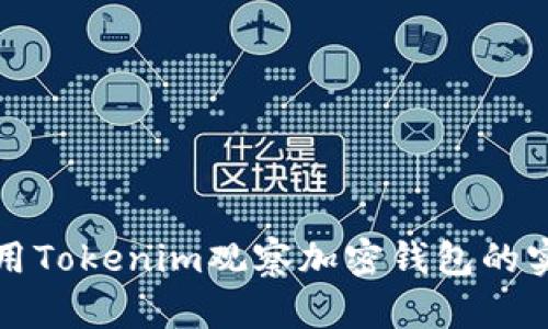 如何利用Tokenim观察加密钱包的实时动态