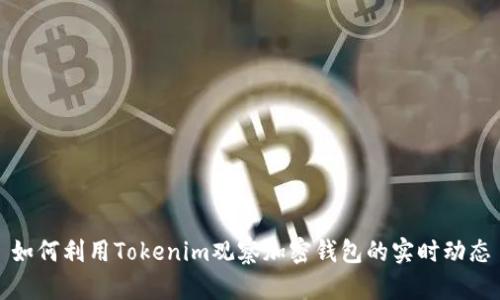 如何利用Tokenim观察加密钱包的实时动态