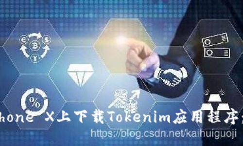 如何在iPhone X上下载Tokenim应用程序：完整指南