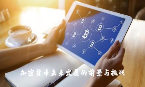 加密货币未来发展的前景与挑战