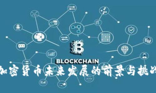 加密货币未来发展的前景与挑战
