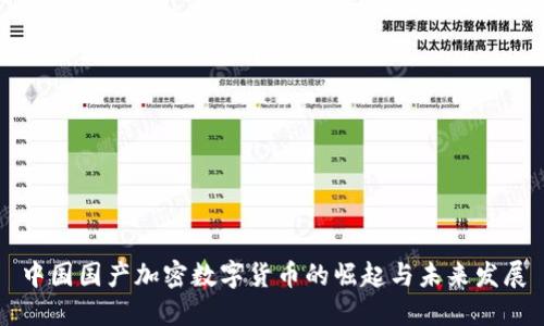 中国国产加密数字货币的崛起与未来发展