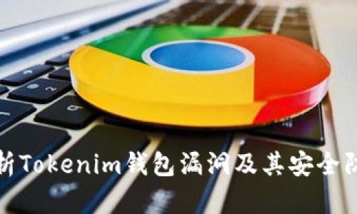 深入解析Tokenim钱包漏洞及其安全防护措施