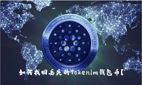 如何找回丢失的Tokenim钱包币？
