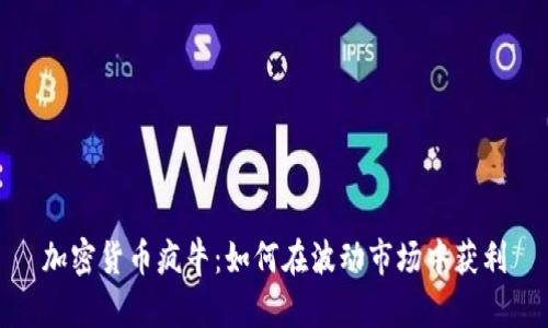 加密货币疯牛：如何在波动市场中获利