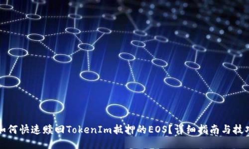 如何快速赎回TokenIm抵押的EOS？详细指南与技巧