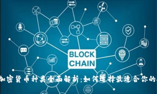 2023年加密货币种类全面解析：如何选择最适合你的投资类型
