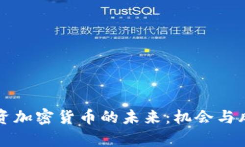 美国投资加密货币的未来：机会与风险并存