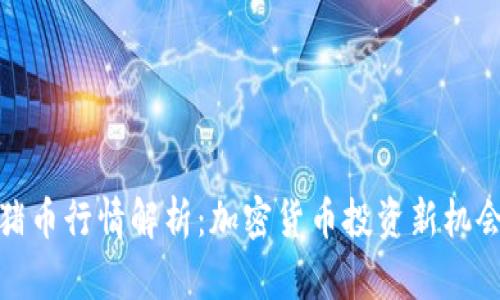 猪币行情解析：加密货币投资新机会