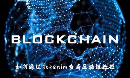 如何通过Tokenim查看区块链数据