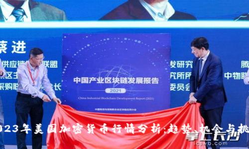 2023年美国加密货币行情分析：趋势、机会与挑战