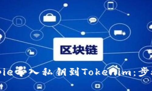 如何通过Bitpie导入私钥到Tokenim：步骤与注意事项