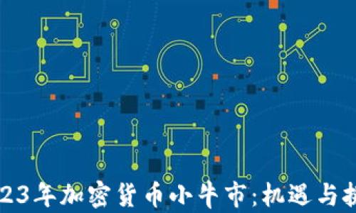 
2023年加密货币小牛市：机遇与挑战
